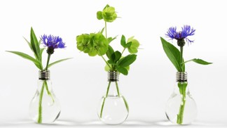 Home decor: Novinky ze světa designu