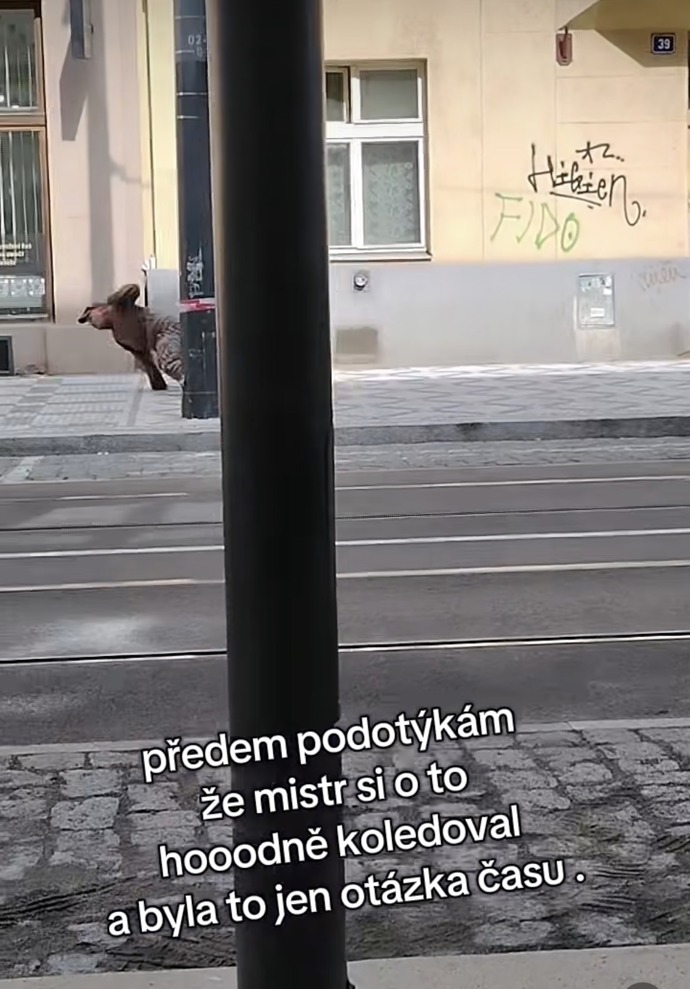 Celý incident natočila na telefon kolemjdoucí a zveřejnila ho na Instagramu.
