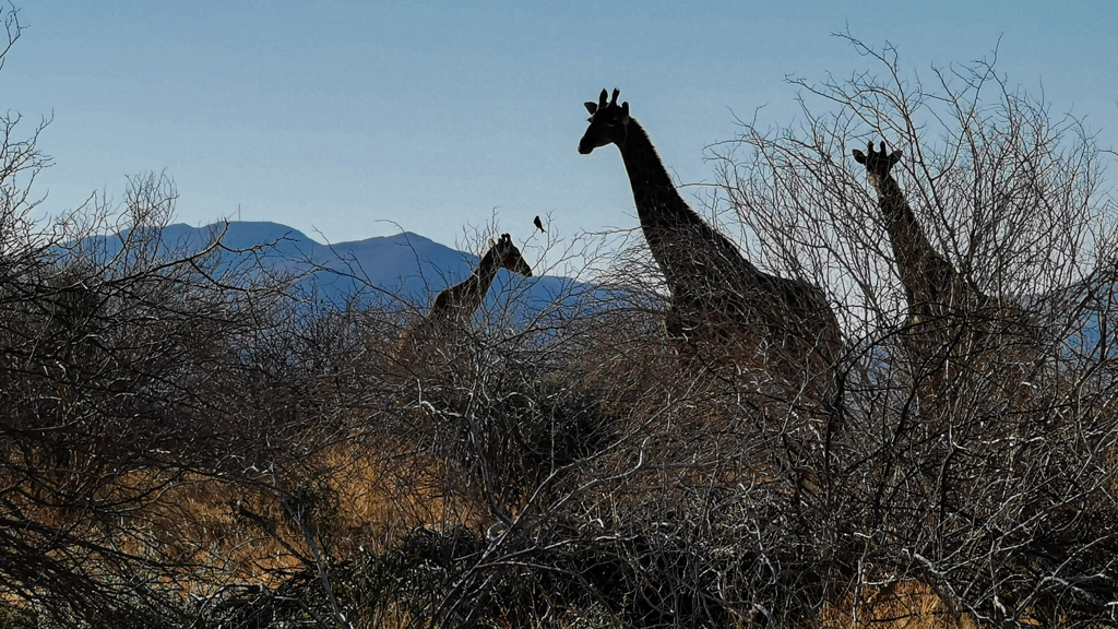 namibie namibie