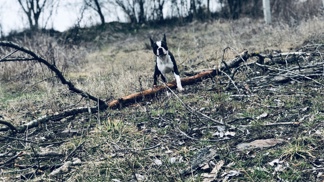 KarELLE: co se dělo v redakci 23