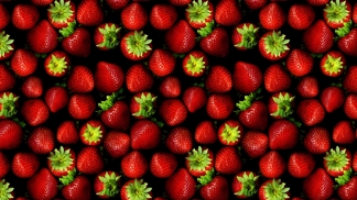 Food trend: #jahodoveknedliky