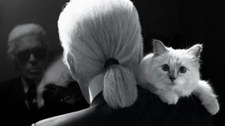 Karl Lagerfeld a Choupette