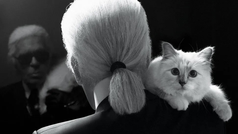 Karl Lagerfeld a Choupette