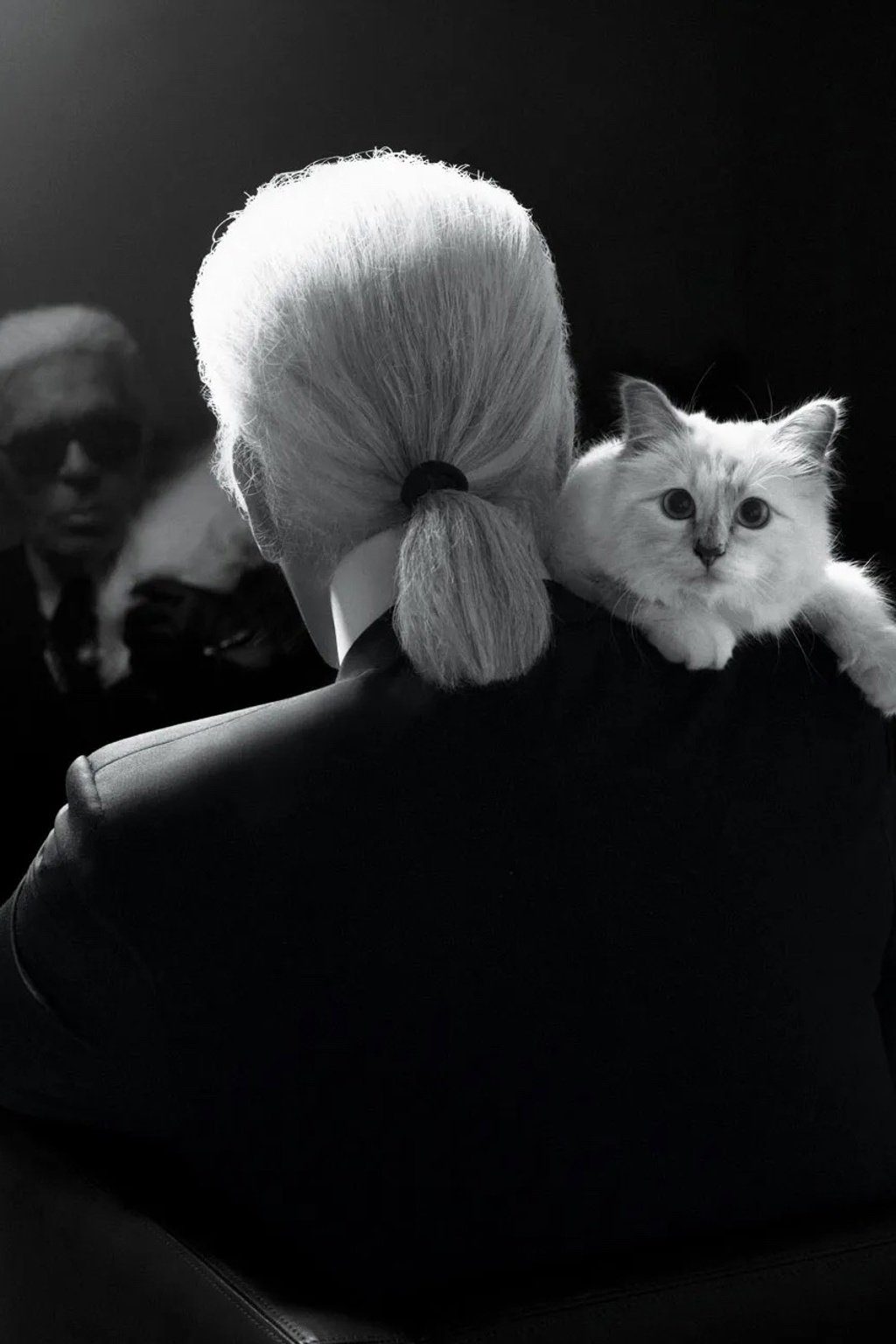 Karl Lagerfeld a Choupette Karl Lagerfeld a Choupette