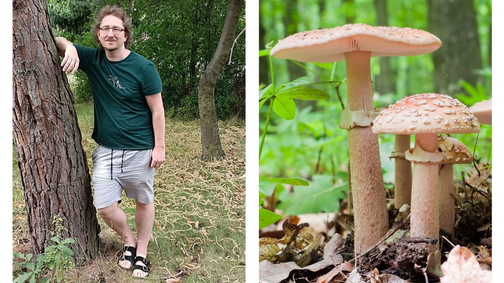 Mykolog Jan Borovička: Výživová hodnota hub není vysoká, ale jsou lepší než okusování kůry stromu