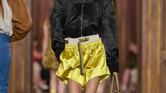 Louis Vuitton Cruise Show 2027