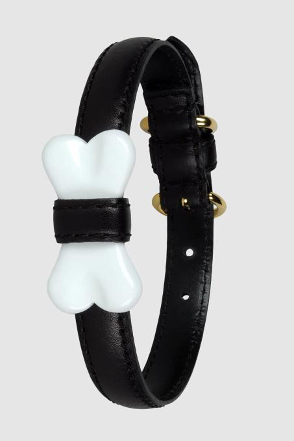 Moschino, ke mně! Moschino, ke mně!