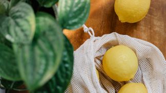 Konzervovaný zdroj vitamínu C: Jak uchovat citrón, aby dlouho vydržel – v mrazáku, v soli i ve vodě a v písku Konzervovaný zdroj vitamínu C: Jak uchovat citrón, aby dlouho vydržel – v mrazáku, v soli i ve vodě a v písku