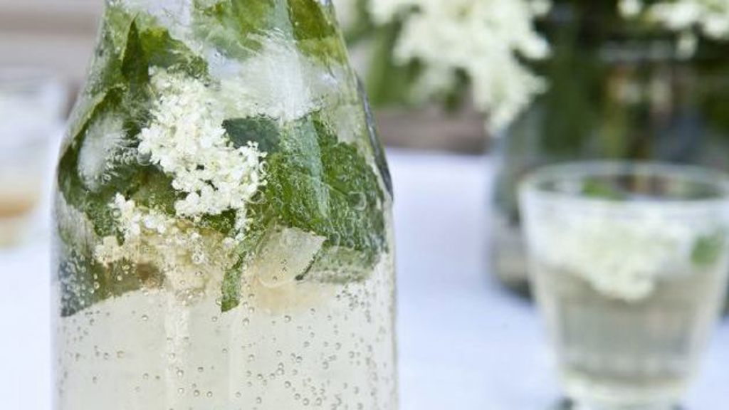 Recept na sirup z bezinkových květů
