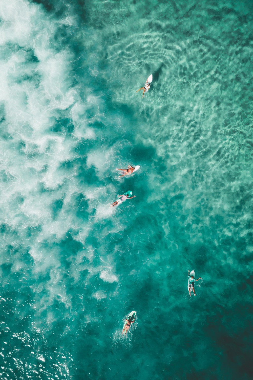 Surf in Europe Surf in Europe