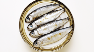 Sardines