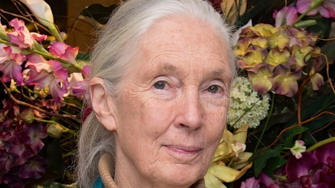 Jane Goodall