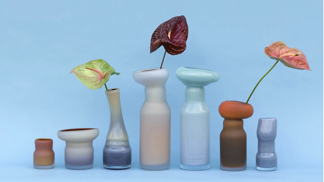 Fungus, David Valner
