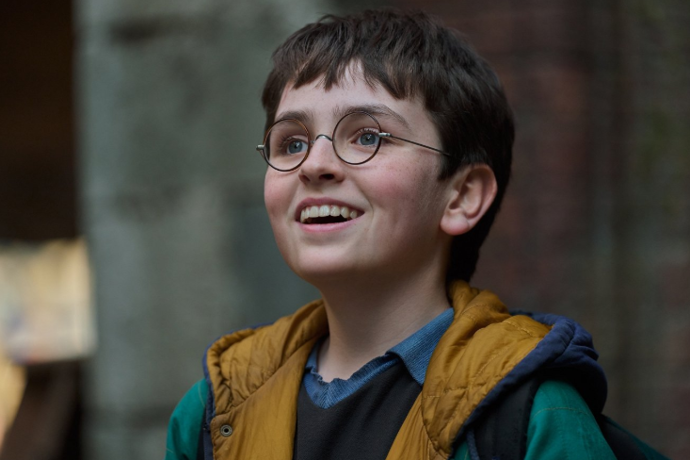 Dominic McLaughlin jako Harry Potter v seriálu Harry Potter.