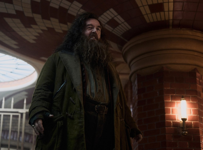 Nick Frost si v seriálu Harry Potter zahrál Hagrida.