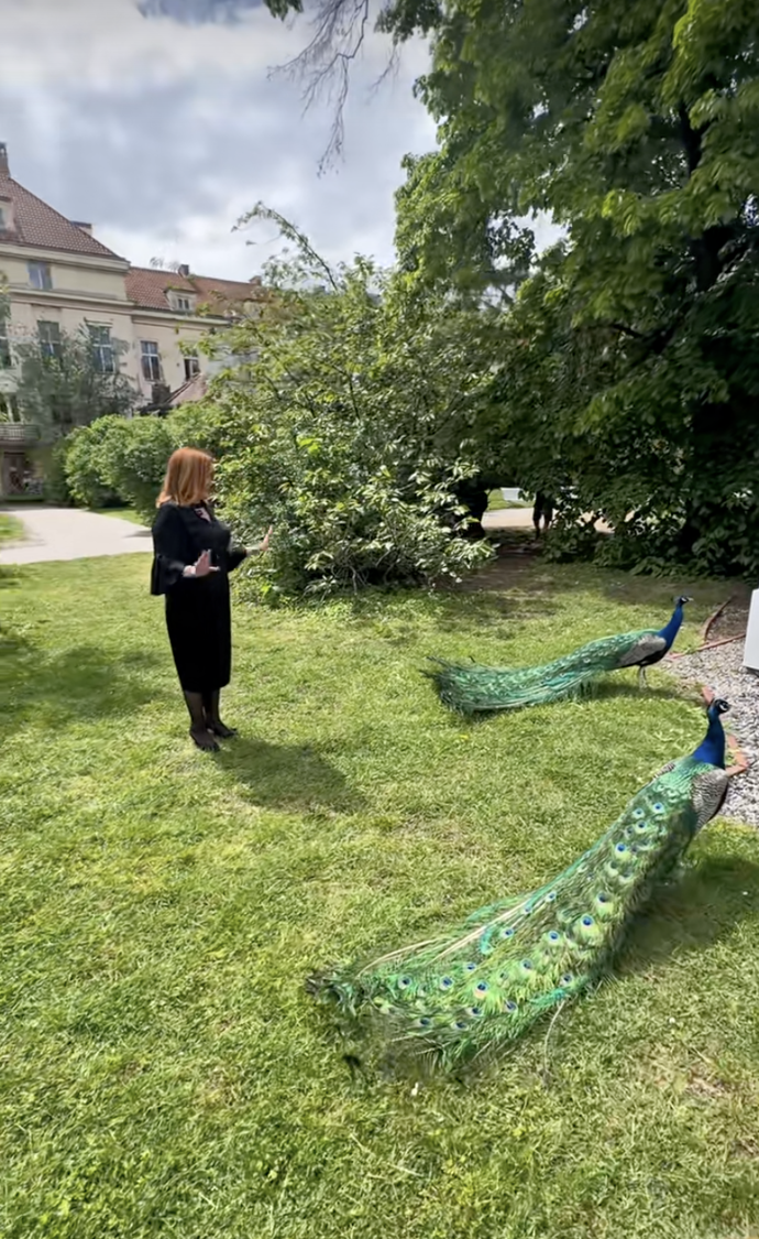 Alena Schillerová se v pražských Vojanových sadech pozdravila s pávy.