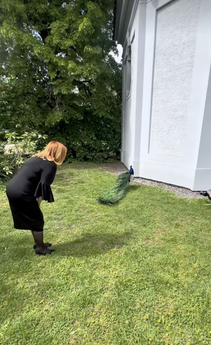 Alena Schillerová se v pražských Vojanových sadech pozdravila s pávy.