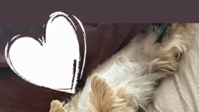 FOTO: Sebastian musí kvůli zánětu kyčle odpočívat a nesmí se stavět na nohy.