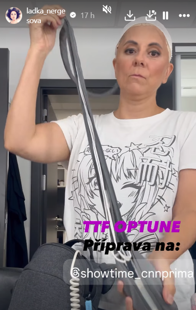 Laďka Něrgešová sdílela realitu na Instagramu.