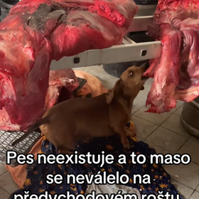 V pivovaru Jiřího Janečka se dějí věci. 