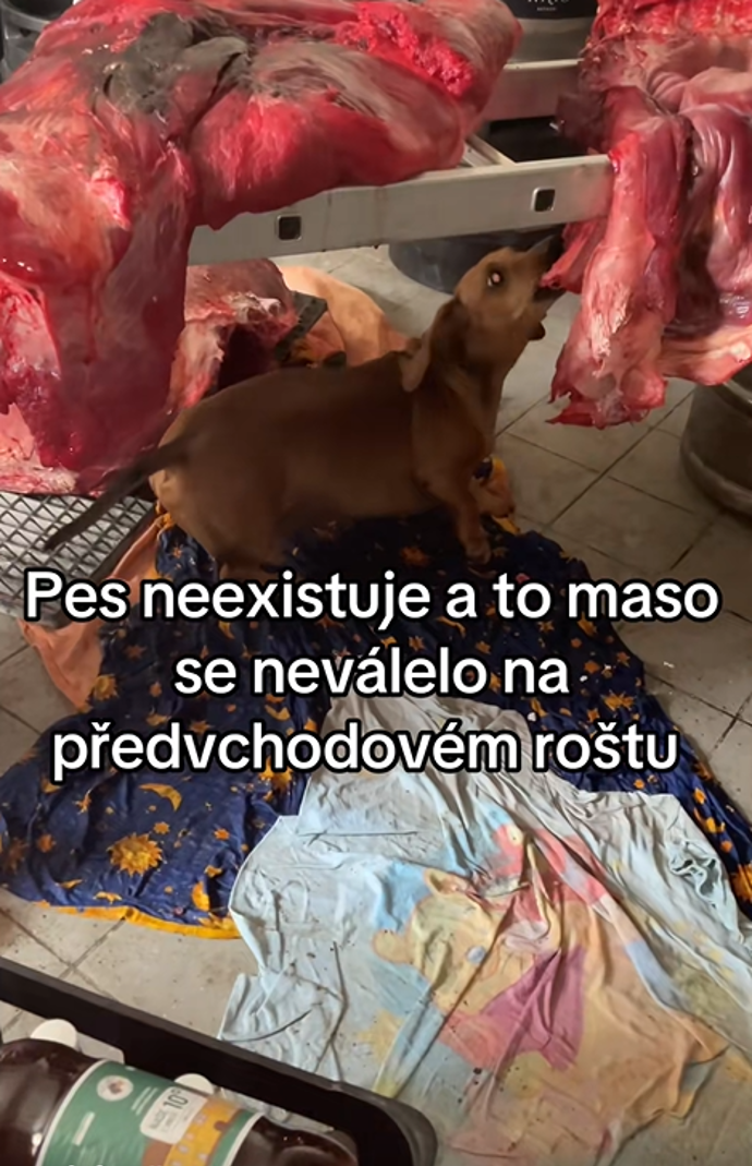V pivovaru Jiřího Janečka se dějí věci. 