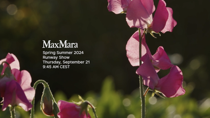 Max Mara
