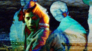 Setareh Shahbazi