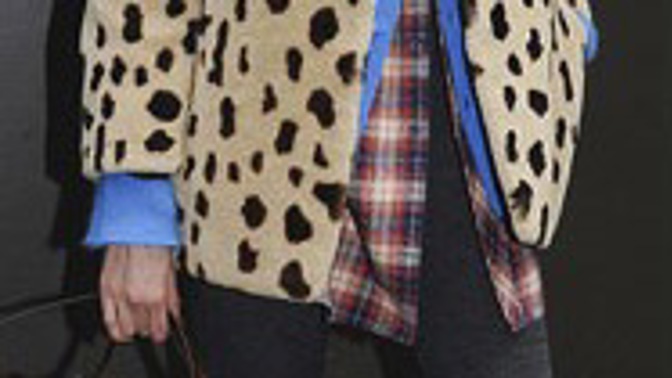 Styling dne Agyness Deyn