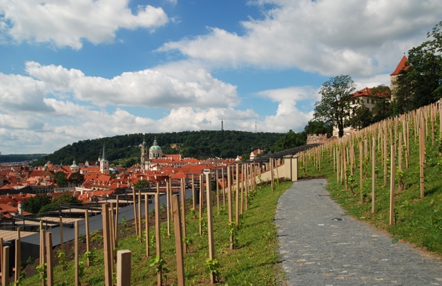 Za vinobraním nemusíte jen na Moravu. První zářijový víkend se koná Vinobraní na Pražském hradě. Moravská vína tu chybět nebudou 