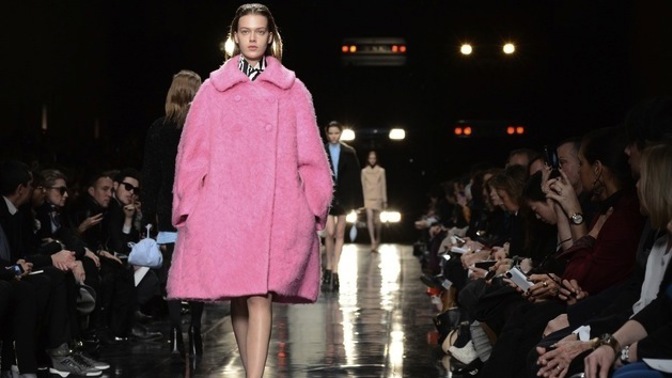 Trend: pink podzim