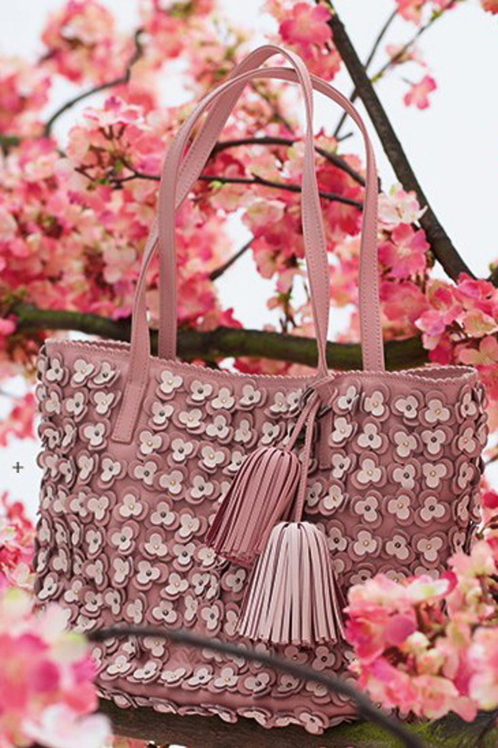 Třešňová kampaň Loewe Cherry Blossom Třešňová kampaň Loewe Cherry Blossom