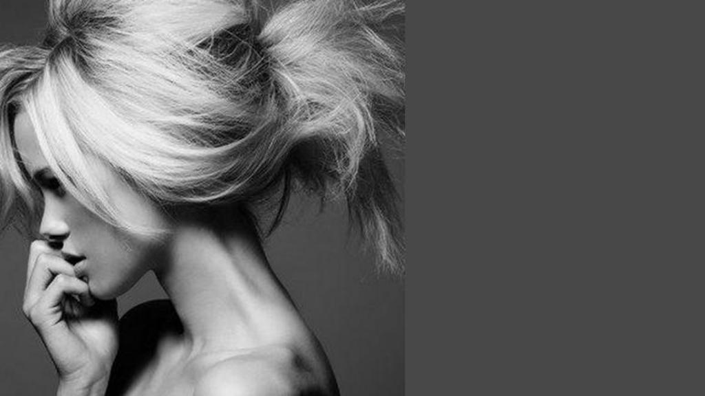 Vlasové dilema Vlasové dilema