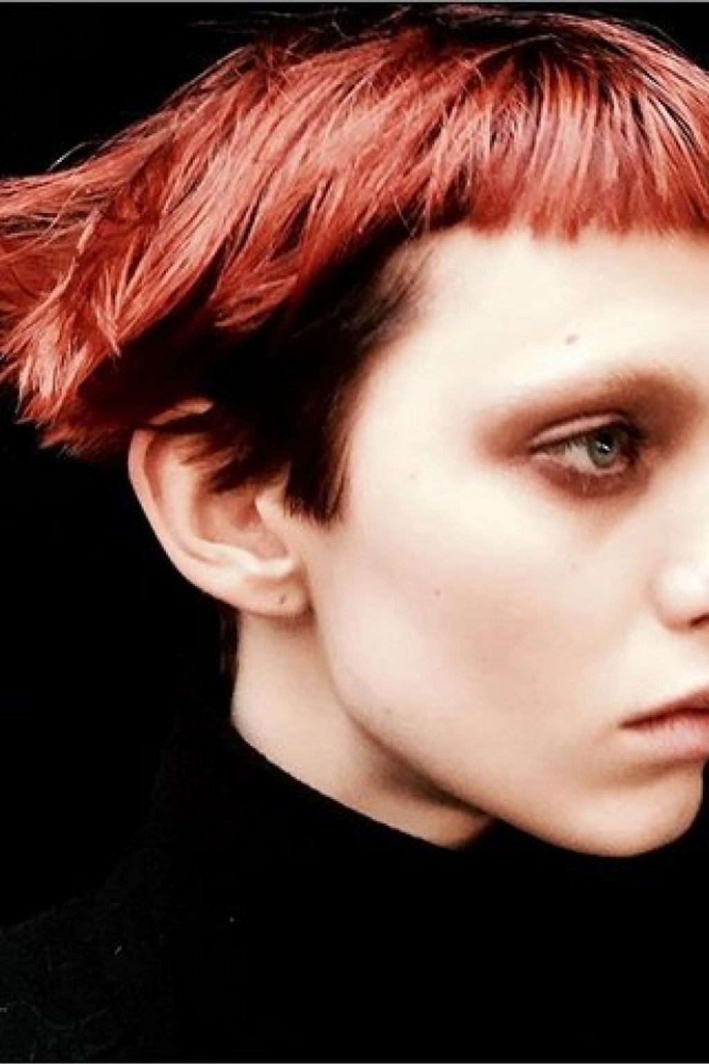 Modelky, herečky a jejich vlasové makeovery Modelky, herečky a jejich vlasové makeovery