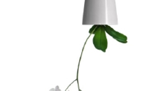 Vznášející se květiny