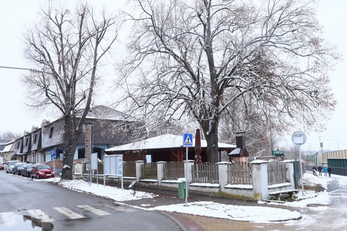 V druhém díle Ano šéfe! zamířil Zdeněk Pohlreich do Restaurace Trilobit.