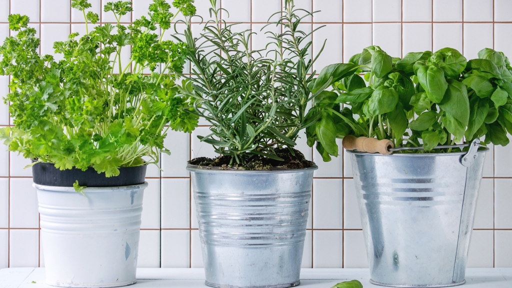 Zero Waste Home. Jak funguje?