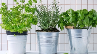 Zero Waste Home. Jak funguje?