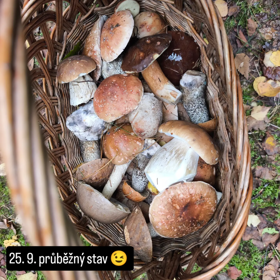 Fanouškům se Jakub pochlubil plnými koši, které z lesa nosil.
