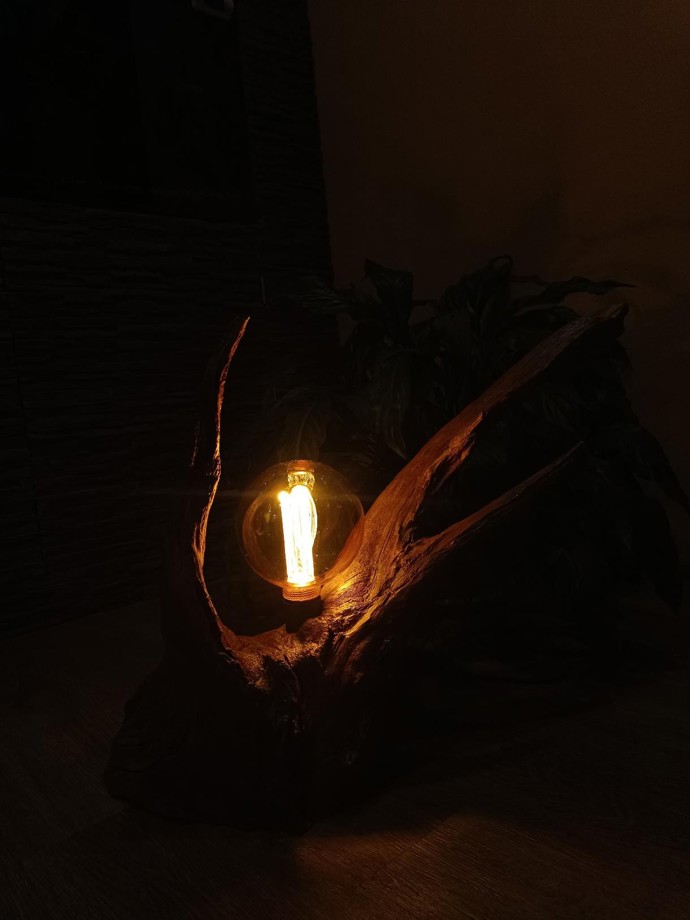 Projde se po lese, přinese kus dřeva, vyrobí lampu: Teprve devatenáctiletý Jakub má koníčka, který se mění v profesi. Uživit se jím prý dá Projde se po lese, přinese kus dřeva, vyrobí lampu: Teprve devatenáctiletý Jakub má koníčka, který se mění v profesi. Uživit se jím prý dá
