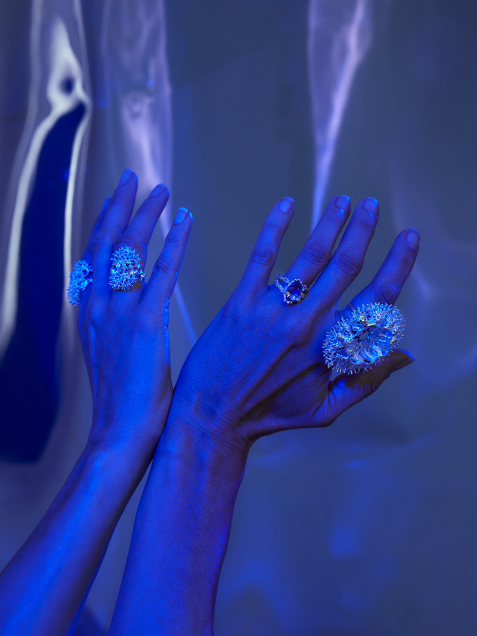 Blueberries Jewelry