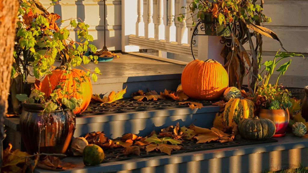 Kdy je Halloween 2026? Letos připadá na sobotu 31. října