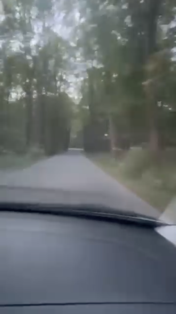 K místu nálezu vede běžně přístupná cesta obklopená hustým lesním porostem.