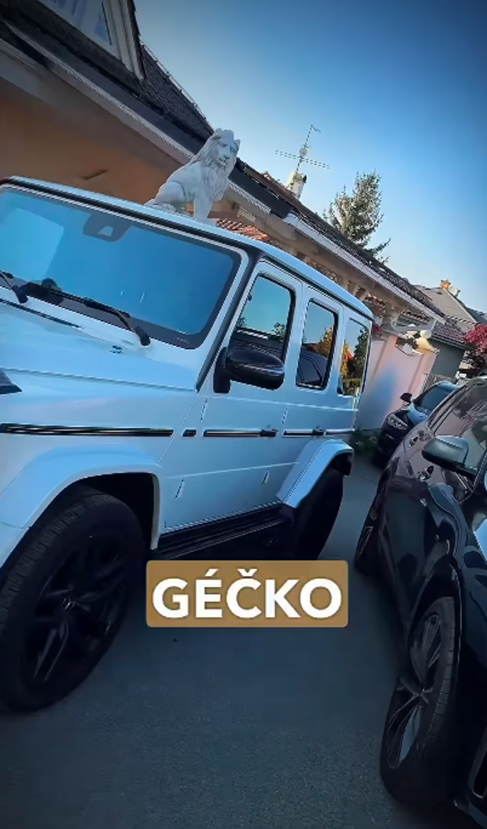 Na prodej míří auta značky BMW a Mercedes-Benz.