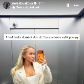 Ještě nedávno se přitom hrdě hlásila k roli „ženky domácí“.