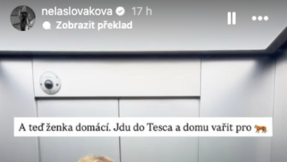 FOTO: Ještě nedávno přitom i Slováková byla "ženka domácí".