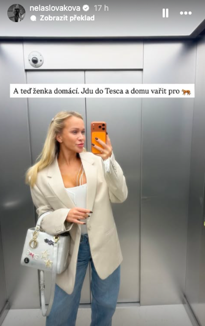 Ještě nedávno se přitom hrdě hlásila k roli „ženky domácí“.