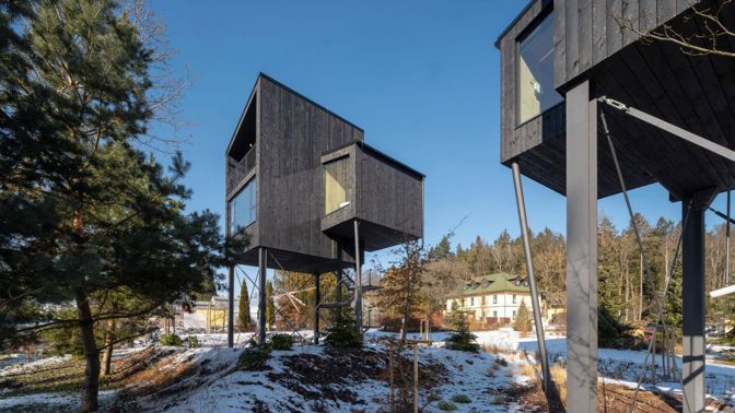 Treehousy Johanka